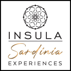 Insula experience